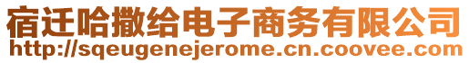 宿遷哈撒給電子商務(wù)有限公司