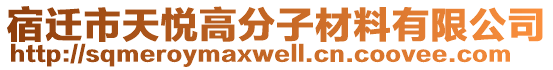 宿遷市天悅高分子材料有限公司