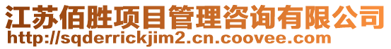 江蘇佰勝項(xiàng)目管理咨詢有限公司