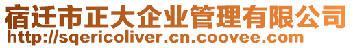 宿遷市正大企業(yè)管理有限公司