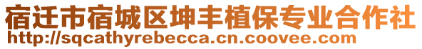 宿遷市宿城區(qū)坤豐植保專業(yè)合作社