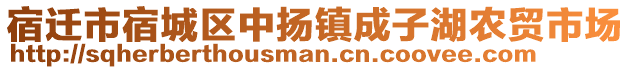 宿遷市宿城區(qū)中揚(yáng)鎮(zhèn)成子湖農(nóng)貿(mào)市場(chǎng)