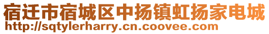 宿遷市宿城區(qū)中揚(yáng)鎮(zhèn)虹揚(yáng)家電城