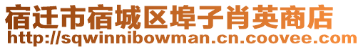 宿遷市宿城區(qū)埠子肖英商店