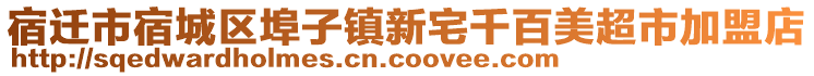 宿遷市宿城區(qū)埠子鎮(zhèn)新宅千百美超市加盟店