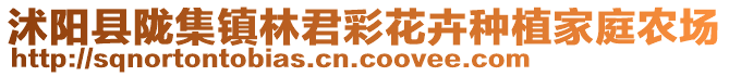 沭陽縣隴集鎮林君彩花卉種植家庭農場