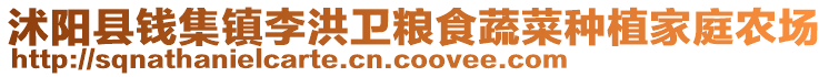 沭陽縣錢集鎮李洪衛糧食蔬菜種植家庭農場