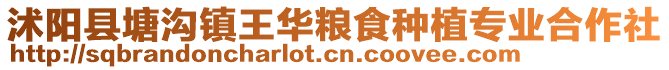 沭阳县塘沟镇王华粮食种植专业合作社