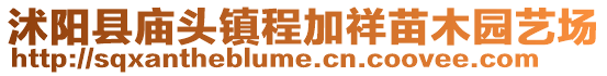 沭阳县庙头镇程加祥苗木园艺场