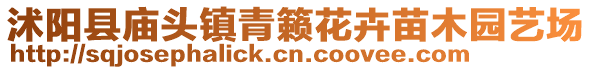 沭阳县庙头镇青籁花卉苗木园艺场