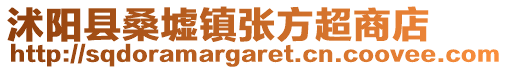 沭陽縣桑墟鎮張方超商店