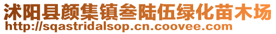 沭陽縣顏集鎮叁陸伍綠化苗木場