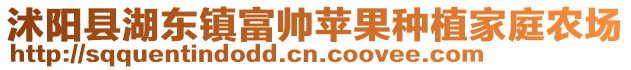 沭陽縣湖東鎮(zhèn)富帥蘋果種植家庭農(nóng)場