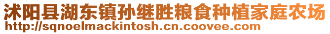 沭陽縣湖東鎮(zhèn)孫繼勝糧食種植家庭農(nóng)場