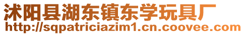 沭陽縣湖東鎮(zhèn)東學(xué)玩具廠