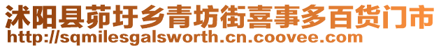 沭陽縣茆圩鄉(xiāng)青坊街喜事多百貨門市