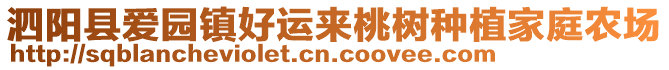 泗陽縣愛園鎮(zhèn)好運來桃樹種植家庭農(nóng)場