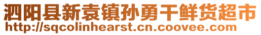 泗陽縣新袁鎮(zhèn)孫勇干鮮貨超市