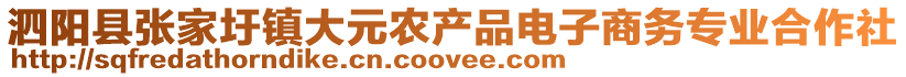 泗陽縣張家圩鎮大元農產品電子商務專業合作社