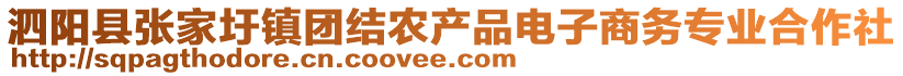 泗陽縣張家圩鎮(zhèn)團結(jié)農(nóng)產(chǎn)品電子商務(wù)專業(yè)合作社