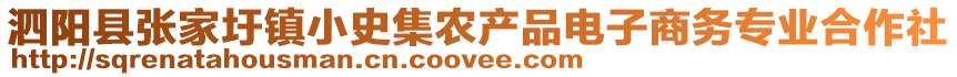 泗陽縣張家圩鎮(zhèn)小史集農(nóng)產(chǎn)品電子商務(wù)專業(yè)合作社