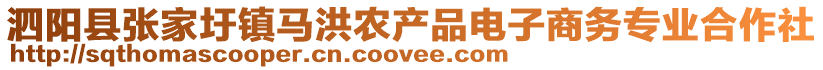 泗陽縣張家圩鎮(zhèn)馬洪農產品電子商務專業(yè)合作社