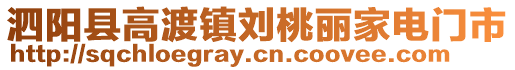 泗陽縣高渡鎮劉桃麗家電門市