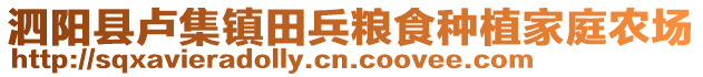 泗陽(yáng)縣盧集鎮(zhèn)田兵糧食種植家庭農(nóng)場(chǎng)