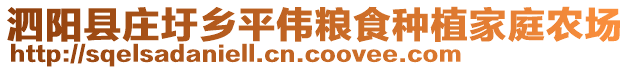 泗陽縣莊圩鄉(xiāng)平偉糧食種植家庭農(nóng)場