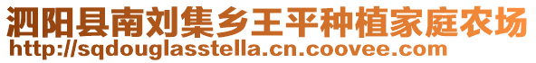 泗陽縣南劉集鄉王平種植家庭農場