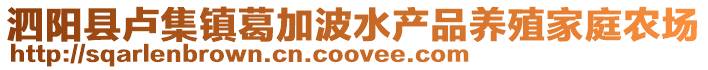 泗陽縣盧集鎮葛加波水產品養殖家庭農場