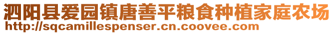 泗陽縣愛園鎮(zhèn)唐善平糧食種植家庭農(nóng)場