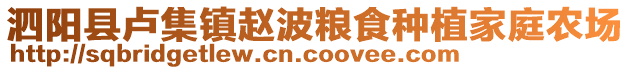 泗陽縣盧集鎮趙波糧食種植家庭農場