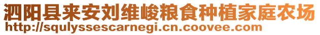 泗陽(yáng)縣來(lái)安劉維峻糧食種植家庭農(nóng)場(chǎng)