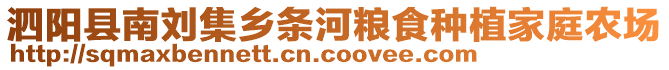 泗陽(yáng)縣南劉集鄉(xiāng)條河糧食種植家庭農(nóng)場(chǎng)