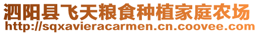 泗陽縣飛天糧食種植家庭農場