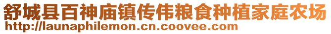 舒城縣百神廟鎮(zhèn)傳偉糧食種植家庭農(nóng)場(chǎng)