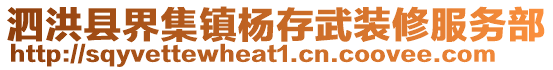 泗洪縣界集鎮楊存武裝修服務部