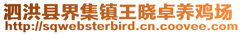 泗洪縣界集鎮王曉卓養雞場