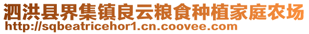 泗洪縣界集鎮良云糧食種植家庭農場