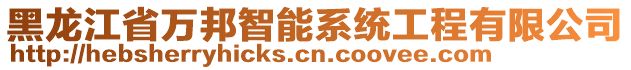 黑龍江省萬邦智能系統(tǒng)工程有限公司