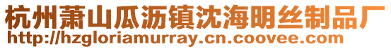 杭州蕭山瓜瀝鎮(zhèn)沈海明絲制品廠