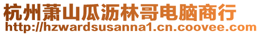 杭州蕭山瓜瀝林哥電腦商行
