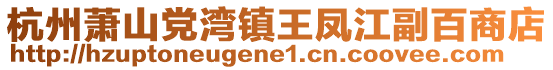 杭州蕭山黨灣鎮(zhèn)王鳳江副百商店