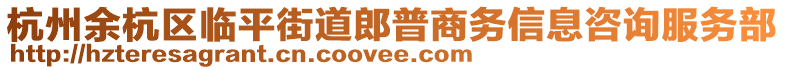 杭州余杭區(qū)臨平街道郎普商務(wù)信息咨詢服務(wù)部