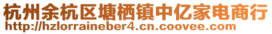 杭州余杭區(qū)塘棲鎮(zhèn)中億家電商行