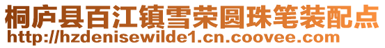 桐廬縣百江鎮雪榮圓珠筆裝配點