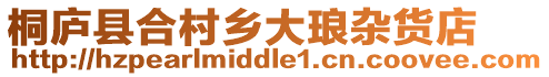 桐廬縣合村鄉大瑯雜貨店