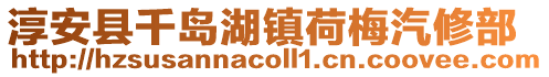 淳安縣千島湖鎮(zhèn)荷梅汽修部