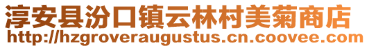 淳安縣汾口鎮云林村美菊商店